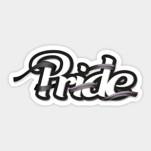 Demisexual pride flag colored ribbon wrapped around the letters of the word PRIDE Sticker